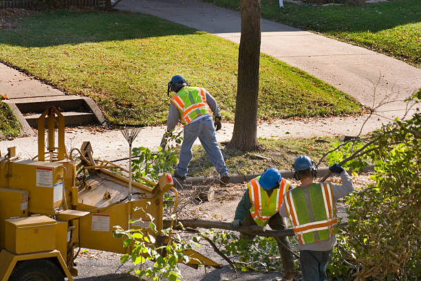 Best Hazardous Tree Removal  in Crooks, SD